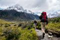 Trailhead Carbon Trekking Poles