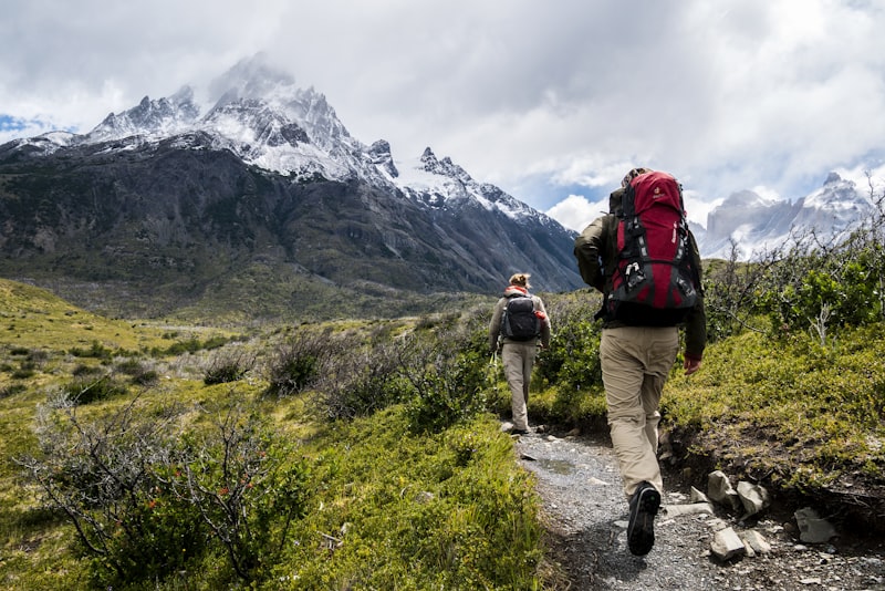 Trailhead Carbon Trekking Poles